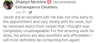 a review of a carpet cleaner