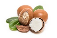 almonds and leaves on a white background