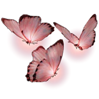 three pink butterflies on a black background