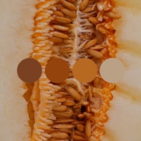 a close up of a melon with different colors