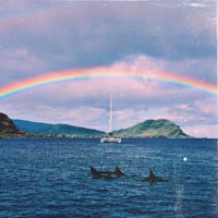 a rainbow over a body of water