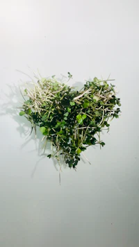 a heart shaped arrangement of sprouts on a white surface