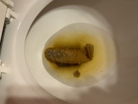 a toilet bowl with a piece of fish in it