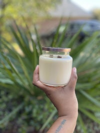 a person holding a candle in front of a palm tree