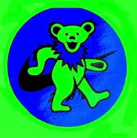 a green and blue teddy bear on a green background
