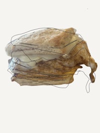 a drawing of a sandwich on a white surface