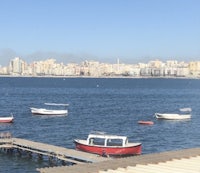 boats docked in the water near a city