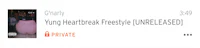 young heartbreak freestyle - private sd