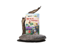a bottle of magic gummy bears sitting on top of a rock
