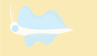 a blue and white butterfly on a yellow background