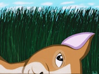 Peaking Through The Grass 
