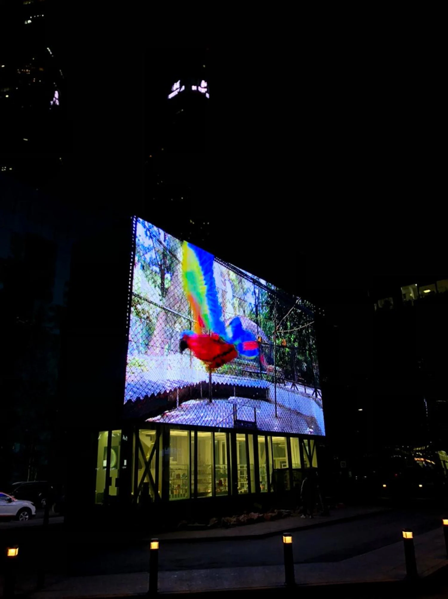 a large screen showing a colorful image of a bird