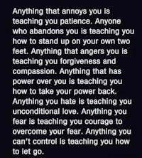 a quote that says anything that annoys you is teaching you patience