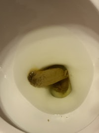 a toilet bowl with a banana in it