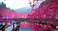 a pond is lit up with pink lights and trees