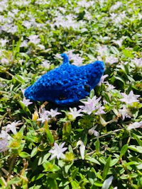 a blue crocheted shark laying in the grass
