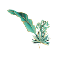 a tropical leaf on a black background