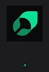 a green leaf logo on a black background
