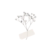 a silver flower brooch on a black background