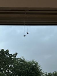 two birds flying in the sky above a window