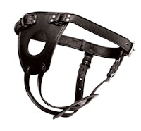 an image of a black leather harness