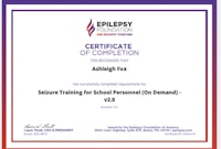 a certificate of completion for the elipy foundation