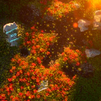 an aerial view of a scene with flowers and rocks