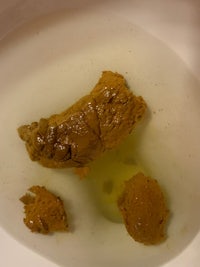 a toilet with two pieces of weed in it