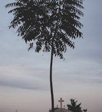 a tree in front of a cemetery with a cross in the background