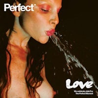 the cover of the perfect love album