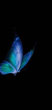 a blue butterfly flying on a black background