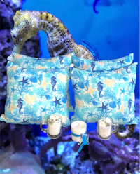 two seahorse pillows on a table next to an aquarium