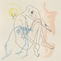 a drawing of a bird with a skeleton