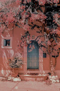 a pink house with a tree in front of it