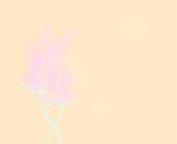 a pink flower on a beige background