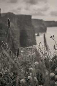 cliffs of moher, ireland