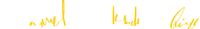 a black background with a yellow line drawn on it