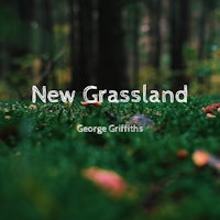 new grassland by george griffiths