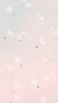 dandelion in the sky on a pink background