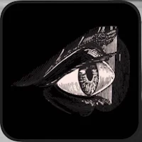 a black and white illustration of an eye