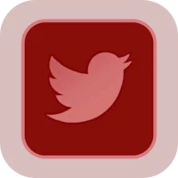a red square with a twitter icon on it
