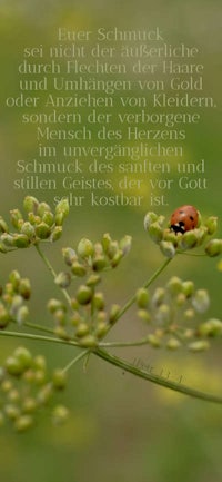 a ladybug sits on a plant with a poem on it