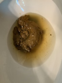 a toilet bowl with a brown substance in it