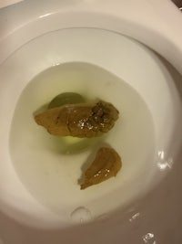 a toilet with two pieces of food in it