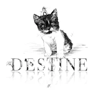 a black and white drawing of a cat with the word destiny