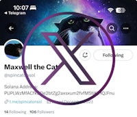 maxwell the cat on twitter