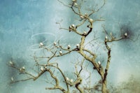 a tree with white birds sitting on the branches