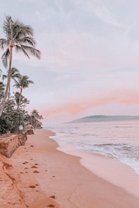 a pink sunset on a beach with palm trees