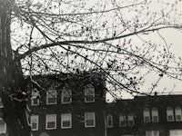 a black and white photo of a tree in front of a building