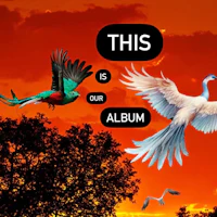 this is our album